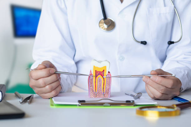 Best Emergency Broken Tooth Repair in Smithers, WV